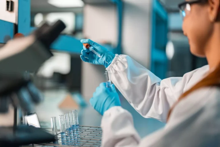 Bioequivalence Studies and Safety